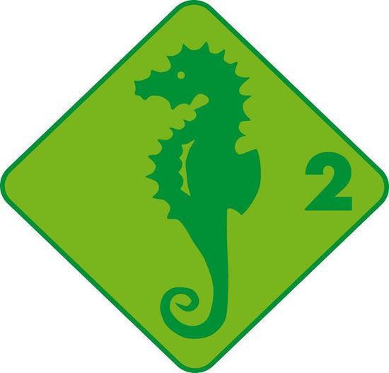 Bild von Groshöchstetten Quartalskurs Seepferd