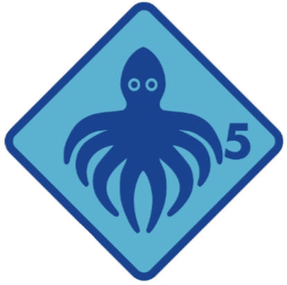 Bild von Rüfenacht Intensivkurs Tintenfisch