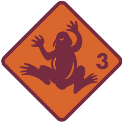 Bild von Rüfenacht Quartalskurs Frosch 8x