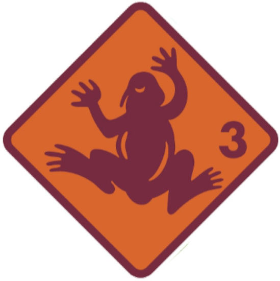 Bild von Rüfenacht Quartalskurs Frosch 8x