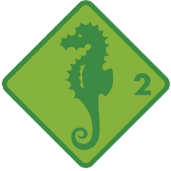 Bild von Rüfenacht Intensivkurs Seepferd