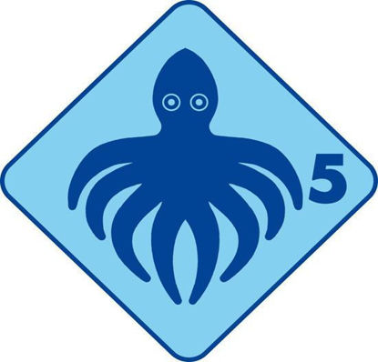 Bild von Groshöchstetten Quartalskurs Tintenfisch