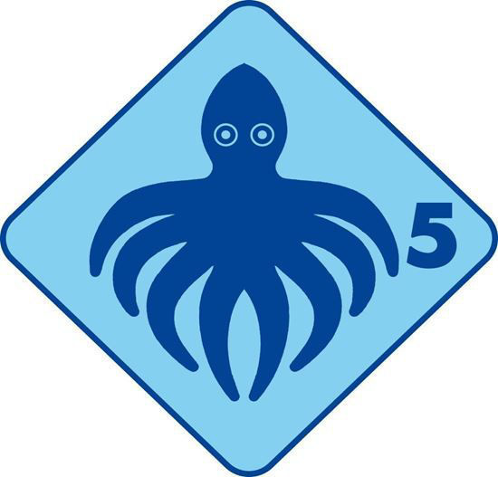 Bild von Groshöchstetten Quartalskurs Tintenfisch