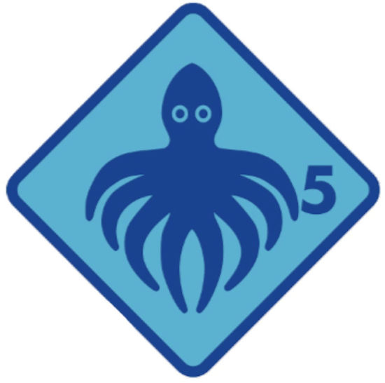 Bild von Grosshöchstetten Quartalskurs Tintenfisch 8x